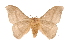  ( - INB0003709706)  @14 [ ] Copyright (2012) I. Chacon Instituto Nacional de Biodiversidad