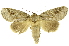  ( - INB0003709737)  @11 [ ] Copyright (2012) Juan Mata Lorenzen Unspecified