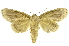  ( - INB0003709737)  @11 [ ] Copyright (2012) Juan Mata Lorenzen Unspecified