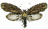  ( - INB0003712349)  @13 [ ] CreativeCommons - Attribution Non-Commercial Share-Alike (2012) National Biodiversity Institute of Costa Rica National Biodiversity Institute of Costa Rica