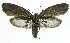  ( - INB0003712349)  @12 [ ] CreativeCommons - Attribution Non-Commercial Share-Alike (2012) National Biodiversity Institute of Costa Rica National Biodiversity Institute of Costa Rica