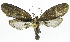  ( - INB0003712410)  @11 [ ] CreativeCommons - Attribution Non-Commercial Share-Alike (2012) National Biodiversity Institute of Costa Rica National Biodiversity Institute of Costa Rica