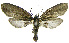  ( - INB0003712410)  @11 [ ] CreativeCommons - Attribution Non-Commercial Share-Alike (2012) National Biodiversity Institute of Costa Rica National Biodiversity Institute of Costa Rica