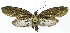  ( - INB0003713992)  @11 [ ] CreativeCommons - Attribution Non-Commercial Share-Alike (2012) National Biodiversity Institute of Costa Rica National Biodiversity Institute of Costa Rica
