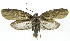  ( - INB0003713992)  @11 [ ] CreativeCommons - Attribution Non-Commercial Share-Alike (2012) National Biodiversity Institute of Costa Rica National Biodiversity Institute of Costa Rica