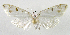  ( - INB0003714042)  @13 [ ] CreativeCommons - Attribution Non-Commercial Share-Alike  National Biodiversity Institute of Costa Rica National Biodiversity Institute of Costa Rica