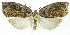  ( - INB0003714085)  @11 [ ] CreativeCommons - Attribution Non-Commercial Share-Alike (2012) National Biodiversity Institute of Costa Rica National Biodiversity Institute of Costa Rica