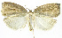  ( - INB0003714085)  @11 [ ] CreativeCommons - Attribution Non-Commercial Share-Alike (2012) National Biodiversity Institute of Costa Rica National Biodiversity Institute of Costa Rica
