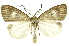  ( - INB0003719994)  @15 [ ] Copyright (2012) Juan Mata Lorenzen Unspecified