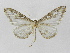  ( - INB0003720093)  @11 [ ] Copyright (2012) J. Montero Instituto Nacional de Biodiversidad