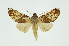  ( - INB0003722623)  @13 [ ] Copyright (2012) Juan Mata Lorenzen Unspecified