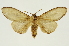  ( - INB0003722632)  @11 [ ] Copyright (2012) Juan Mata Lorenzen Unspecified