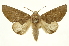  ( - INB0003722730)  @14 [ ] Copyright (2012) J. Montero INBio