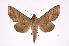  ( - INB0003723175)  @14 [ ] Copyright (2012) I. Chacon Instituto Nacional de Biodiversidad