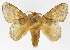  ( - INB0003726127)  @14 [ ] Copyright (2012) J. Montero Instituto Nacional de Biodiversidad