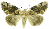 ( - INB0003726307)  @14 [ ] CreativeCommons - Attribution Non-Commercial Share-Alike (2012) National Biodiversity Institute of Costa Rica National Biodiversity Institute of Costa Rica