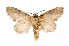  ( - INB0003731280)  @11 [ ] Copyright (2012) I. Chacon Instituto Nacional de Biodiversidad