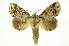  ( - INB0003732730)  @14 [ ] Copyright (2012) Juan Mata Lorenzen Unspecified