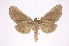 ( - INB0003732787)  @14 [ ] Copyright (2012) I. Chacon Instituto Nacional de Biodiversidad
