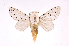  ( - INB0003732871)  @14 [ ] Copyright (2012) J. Montero Instituto Nacional de Biodiversidad