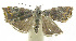  ( - INB0003734260)  @11 [ ] CreativeCommons - Attribution Non-Commercial Share-Alike (2012) National Biodiversity Institute of Costa Rica National Biodiversity Institute of Costa Rica