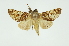  ( - INB0003736528)  @13 [ ] Copyright (2012) Juan Mata Lorenzen Unspecified