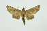  ( - INB0003736544)  @13 [ ] Copyright (2012) Juan Mata Lorenzen INBio
