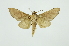  ( - INB0003736544)  @12 [ ] Copyright (2012) Juan Mata Lorenzen INBio