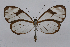  ( - INB0003737932)  @14 [ ] CreativeCommons - Attribution Non-Commercial Share-Alike (2012) National Biodiversity Institute of Costa Rica National Biodiversity Institute of Costa Rica