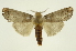  ( - INB0003738023)  @11 [ ] Copyright (2012) Juan Mata Lorenzen Unspecified