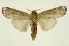  ( - INB0003738023)  @11 [ ] Copyright (2012) Juan Mata Lorenzen Unspecified