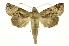  ( - INB0003738024)  @11 [ ] Copyright (2012) Juan Mata Lorenzen Unspecified