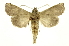  ( - INB0003738024)  @11 [ ] Copyright (2012) Juan Mata Lorenzen Unspecified