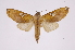  ( - INB0003738028)  @13 [ ] Copyright (2012) I. Chacon Instituto Nacional de Biodiversidad