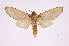  ( - INB0003738028)  @13 [ ] Copyright (2012) I. Chacon Instituto Nacional de Biodiversidad