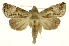  ( - INB0003738036)  @11 [ ] Copyright (2012) Juan Mata Lorenzen Unspecified