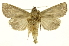  ( - INB0003738036)  @11 [ ] Copyright (2012) Juan Mata Lorenzen Unspecified