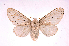  ( - INB0003738115)  @14 [ ] Copyright (2012) J. Montero Instituto Nacional de Biodiversidad