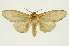  ( - INB0003738157)  @13 [ ] Copyright (2012) Juan Mata Lorenzen Unspecified