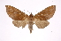  ( - INB0003739896)  @13 [ ] Copyright (2012) I. Chacon Instituto Nacional de Biodiversidad