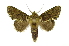  ( - INB0003743073)  @11 [ ] Copyright (2012) Juan Mata Lorenzen Unspecified