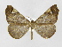  ( - INB0003743102)  @14 [ ] Copyright (2012) J. Montero Instituto Nacional de Biodiversidad
