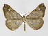  ( - INB0003743102)  @14 [ ] Copyright (2012) J. Montero Instituto Nacional de Biodiversidad