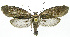  ( - INB0003756186)  @13 [ ] CreativeCommons - Attribution Non-Commercial Share-Alike (2012) National Biodiversity Institute of Costa Rica National Biodiversity Institute of Costa Rica