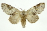  ( - INB0003756278)  @11 [ ] Copyright (2012) Juan Mata Lorenzen Unspecified