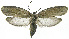  ( - INB0003756331)  @12 [ ] CreativeCommons - Attribution Non-Commercial Share-Alike (2012) National Biodiversity Institute of Costa Rica National Biodiversity Institute of Costa Rica