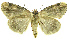  ( - INB0003756368)  @13 [ ] CreativeCommons - Attribution Non-Commercial Share-Alike (2012) National Biodiversity Institute of Costa Rica National Biodiversity Institute of Costa Rica
