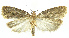  ( - INB0003756632)  @13 [ ] CreativeCommons - Attribution Non-Commercial Share-Alike (2012) National Biodiversity Institute of Costa Rica National Biodiversity Institute of Costa Rica