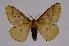  ( - INB0003756665)  @12 [ ] Copyright (2012) I. Chacon Instituto Nacional de Biodiversidad