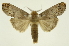  ( - INB0003765673)  @11 [ ] Copyright (2012) Juan Mata Lorenzen Unspecified